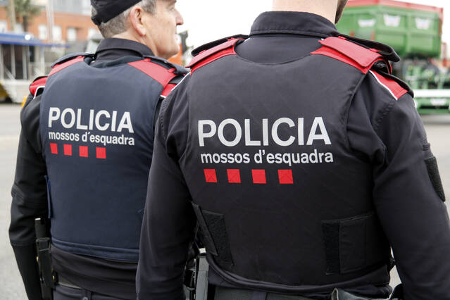 Els Mossos detenen nou joves, set d'ells menors, implicats en dues baralles tumultuàries a Mollerussa