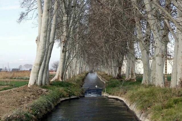La Comunitat General dels Canals d'Urgell impulsa el sistema 