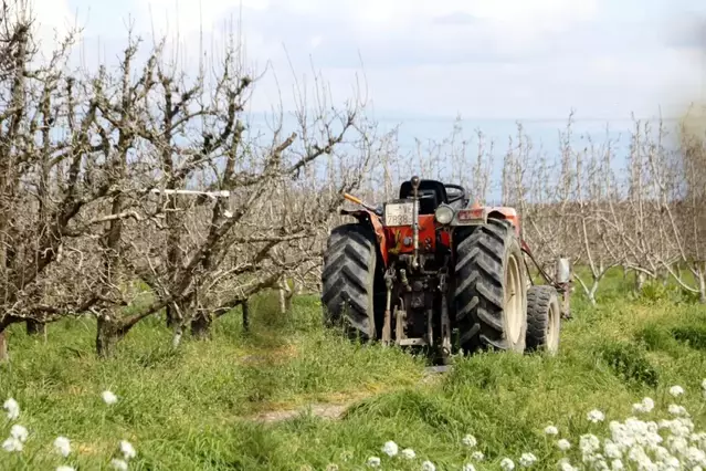 Només una de cada deu explotacions és dirigida per menors de 41 anys a Lleida