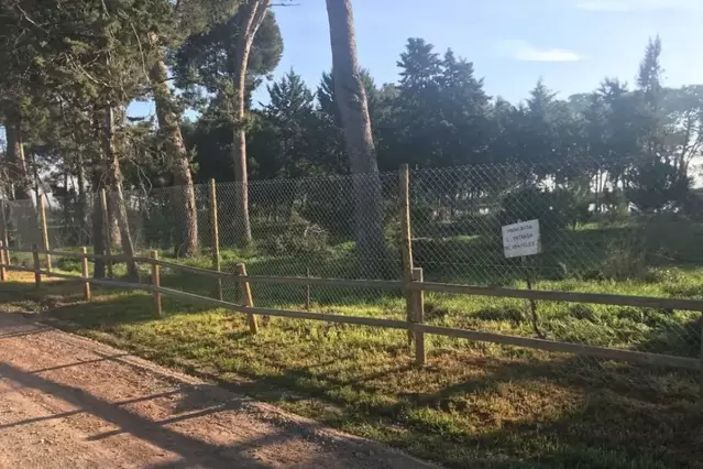 Pícnic sota fiança contra l’incivisme