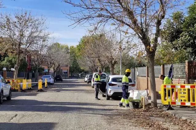 Podaran un centenar d’arbres