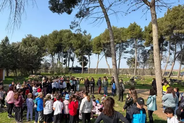 Primeres accions per recuperar La Pineda