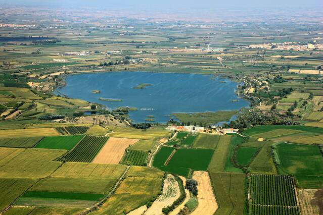 Safari en miniatura per divulgar la fauna aquàtica a l’estany d’Ivars