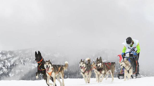Xavier Regalado, de Bell-lloc, campió a l'Estatal de Beret
