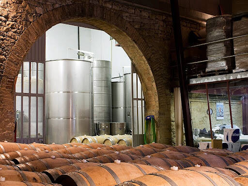 Cicle ‘Vi en Viu’ a la cooperativa L’Olivera