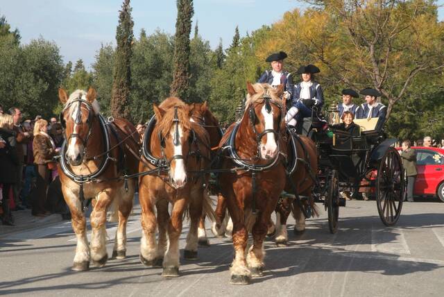 El passat traginer es projecta al present a Anglesola