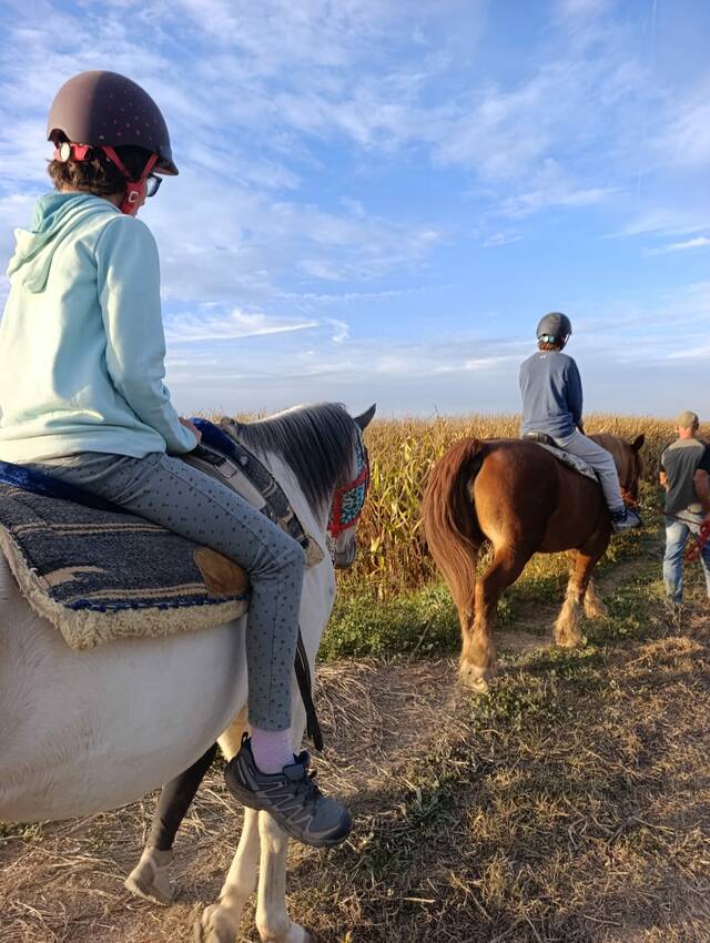 Equinoteràpia inclusiva: un centre de l'Urgell ofereix atenció terapèutica assistida amb cavalls en un entorn plenament accessible