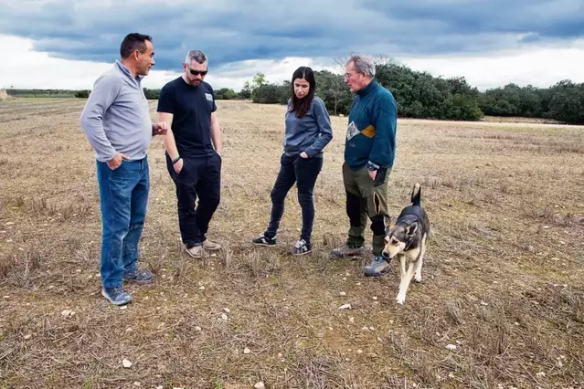 La gran plaga de conills anirà a més aquesta primavera per l’abundància de menjar després de les pluges hivernals
