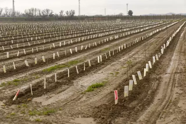 Les pluges saturen el sòl agrari i aturen treballs del camp i construcció