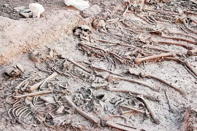 Llum sobre la necròpolis jueva de Tàrrega