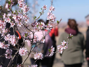 L’Urgell, a tot color
