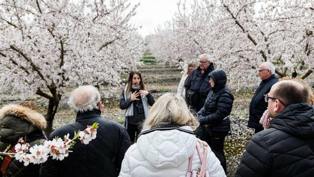 L’Urgell tanca el 2025 amb més consultes turístiques