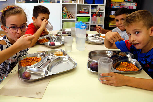 L’Urgell treu a licitació 14 menjadors escolars