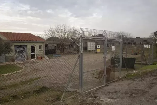 Més de 40 entrades i 33 adopcions a la Protectora d’Animals de Tàrrega el 2025