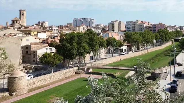 Queixes a Tàrrega per acumulació de brossa