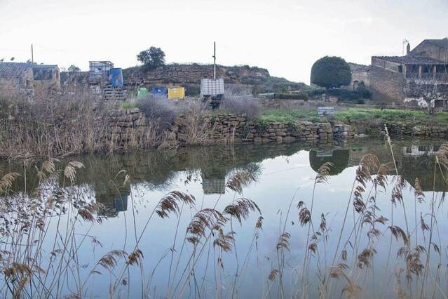 Restauraran la històrica bassa de les Puelles, a Agramunt