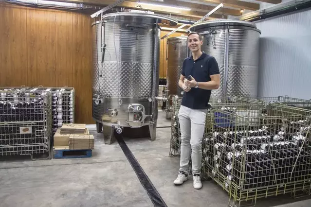 Salvadó Alexandre, vins amb memòria familiar i ànima artesanal