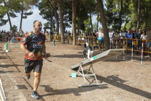 Sant Eloi celebra el centenari Aplec amb gran participació