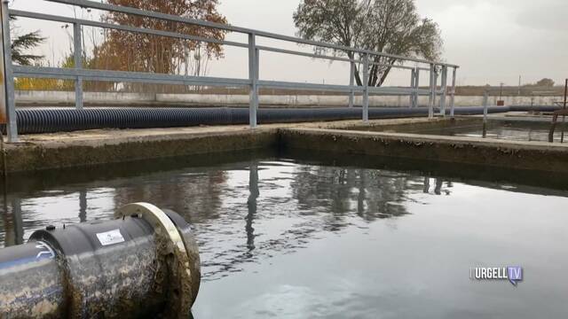 Una avaria i la terbolesa deixen Bellpuig sense aigua potable