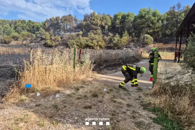 Continuen apagant els focs del cap de setmana