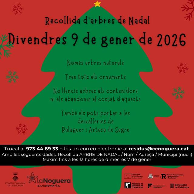 El Consell Comarcal de la Noguera programa una recollida d’arbres de Nadal després de les festes