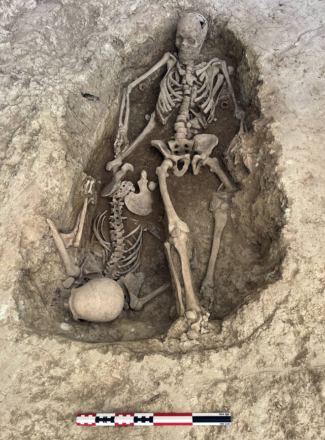 El Departament de Justícia recupera les restes de 7 víctimes republicanes de la Guerra Civil a Alentorn