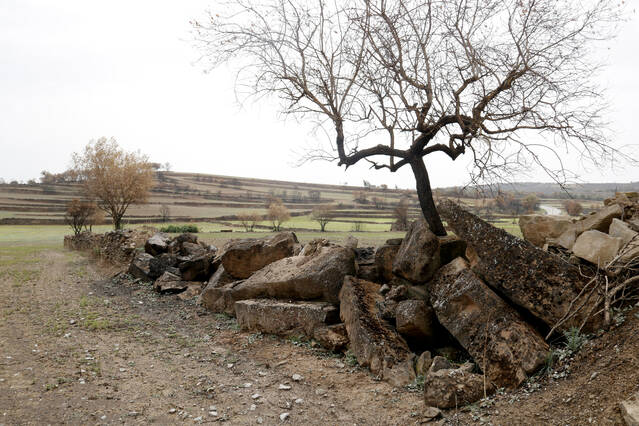 Els alcaldes demanen màxima celeritat en l'arribada dels ajuts estatals per als incendis del Baix Ebre i la Segarra