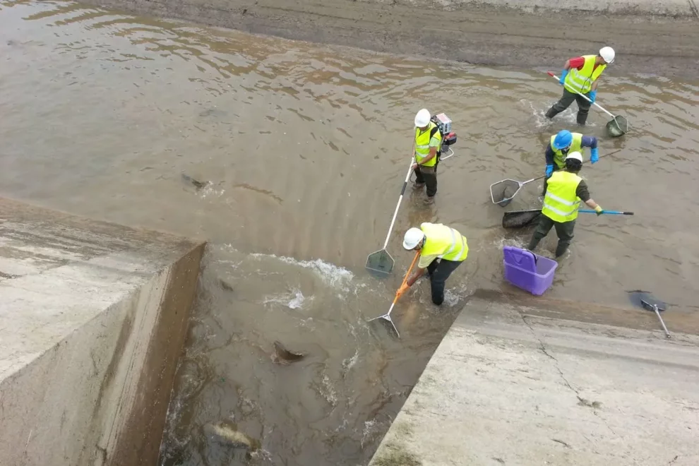 Endesa buida per obres els canals de Balaguer i Térmens