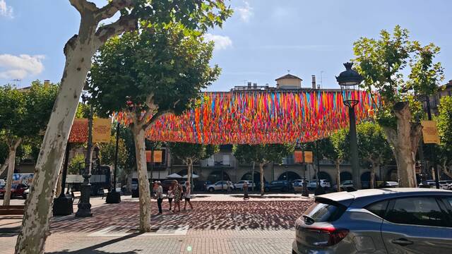 ERC demana retirar el tendal de Balaguer i denuncia “irresponsabilitat” política
