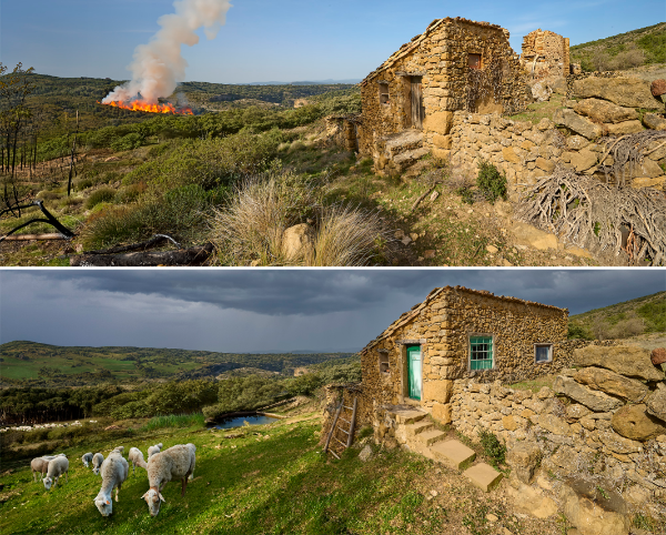 Es busquen pastures abandonades