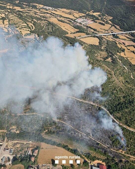 Estabilitzat l’incendi a Ponts, que ha afectat 6,5 hectàrees