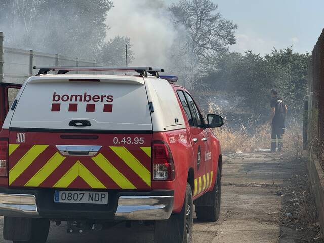 Incendi de vegetació a Balaguer