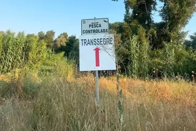 La baixada de barques de la Transsegre de Balaguer, suspesa per l’alt risc d’incendi