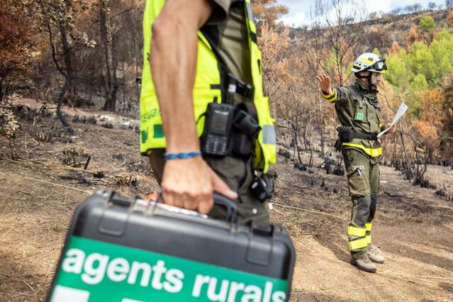 Pla de la Generalitat per doblar la plantilla de Rurals el 2030