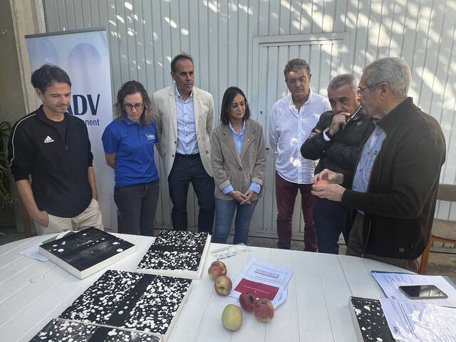 Tanca la campanya de ‘meteocatpedra’ amb rècord d’episodis de pedregada a Lleida en els darrers 25 anys
