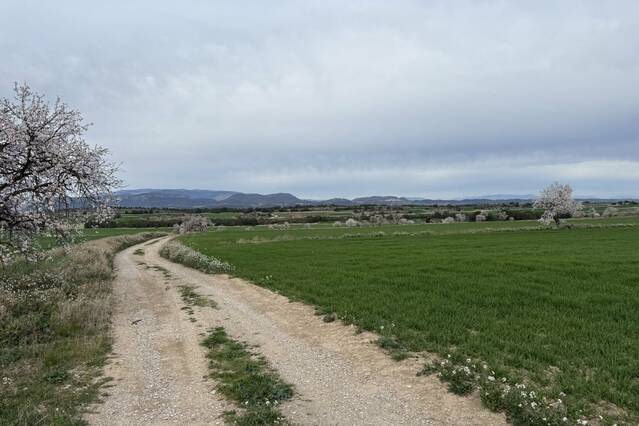 Una setantena de propietaris de la Sentiu de Sió demanen l’aturada de l’eco-concentració parcel·lària del secà