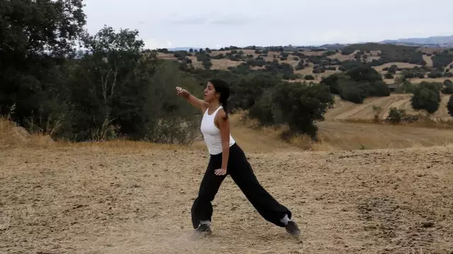 Una vintena de propostes artístiques al Natures de l’Alzina