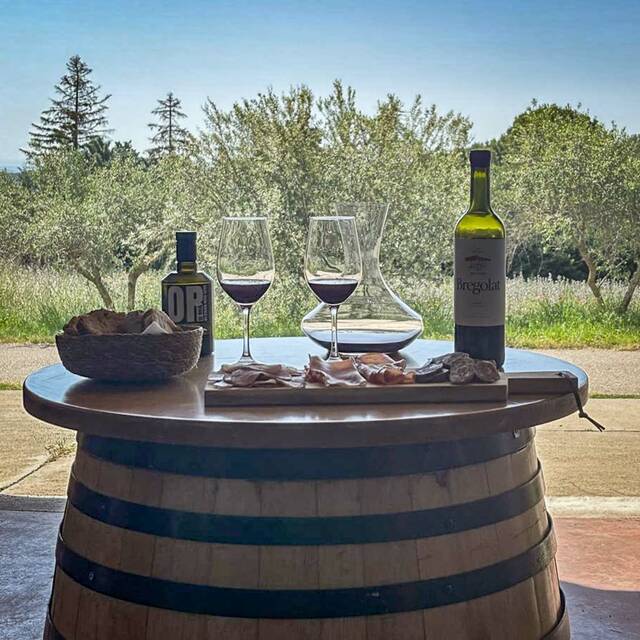 Visita guiada a castells de Lleida amb tastos de vi i productes de proximitat