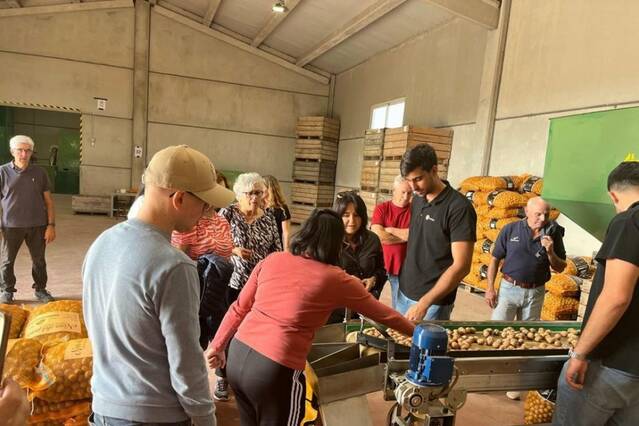 Aitona converteix turistes en recol·lectors de nous: en recullen dos quilos en una visita guiada pels camps de nogueres