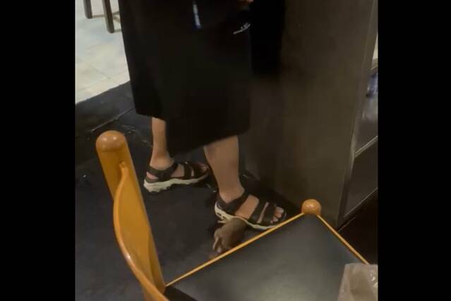 Aitona tanca un restaurant per insalubre al trobar-hi rates