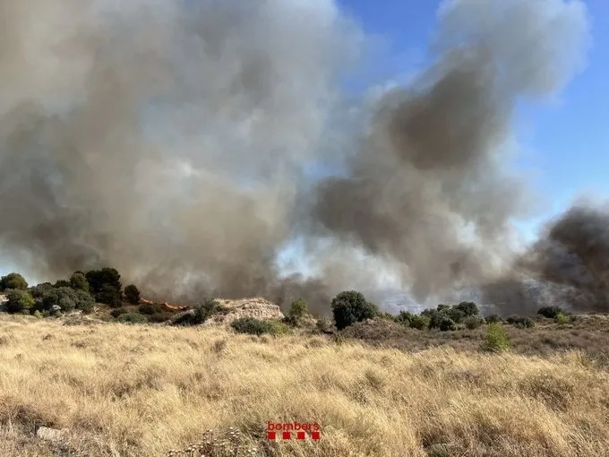Alfarràs, declarat zona d’emergència