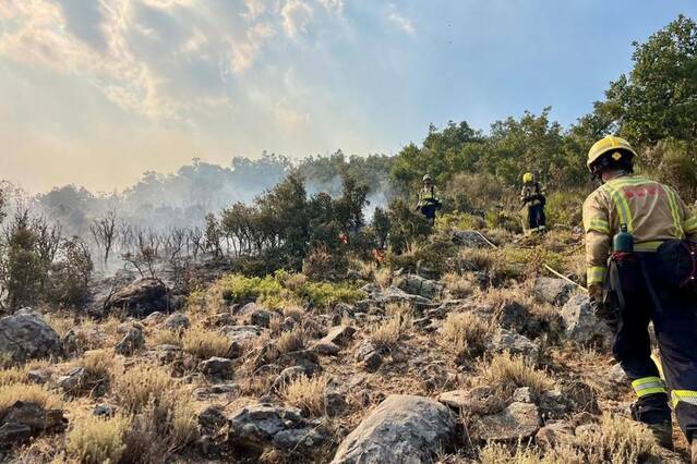 “Aquest tipus de focs seran cada vegada més habituals i guanyaran molt en intensitat”