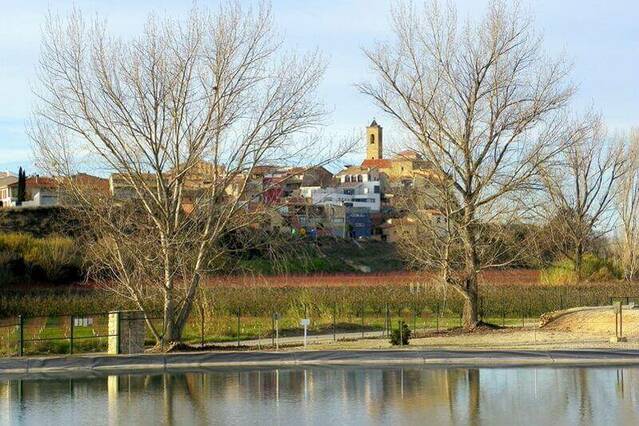 Arresten un jove de Corbins per tràfic de drogues