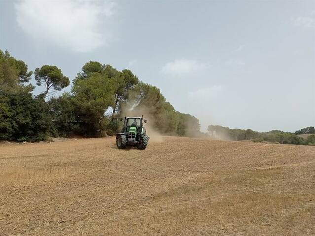 Asaja tem pèrdues de 50 euros per hectàrea a Lleida davant els baixos preus dels cereals
