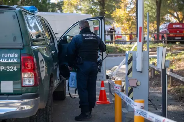 Caiguda històrica dels preus del porc a Mercolleida a causa del focus de pesta porcina