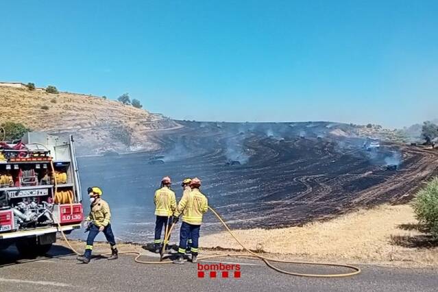 Calcinades cinc hectàrees a Alguaire