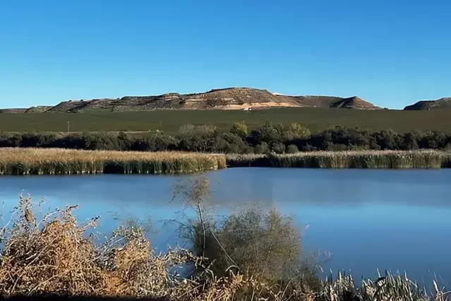 Diners de la UE per protegir la biodiversitat del pantà de l’Arròs d'Alcarràs