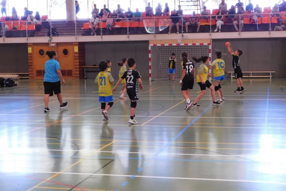 El Consell Esportiu del Segrià impulsa l’esport gratuït a les escoles