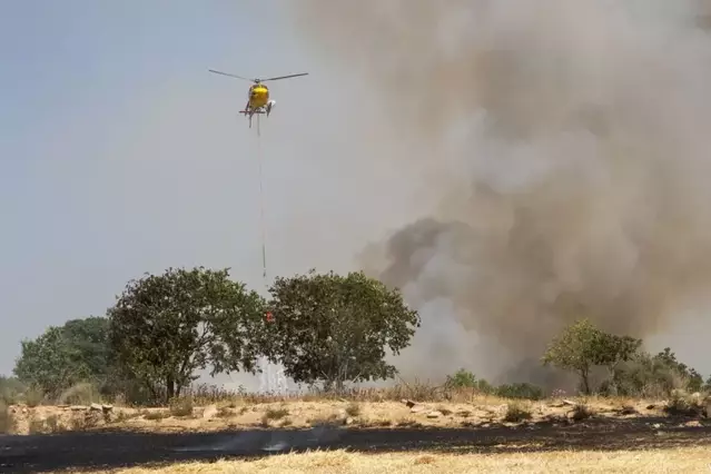 El foc arrasa 1.454 hectàrees de terrenys agrícoles a Lleida