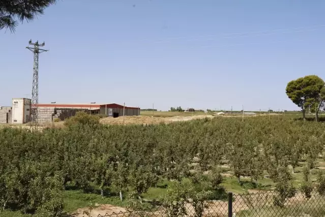El pla de renovables de la Generalitat declara “improductiu” sòl conreat